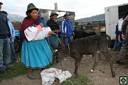 thn_6-Otavalo (10).jpg